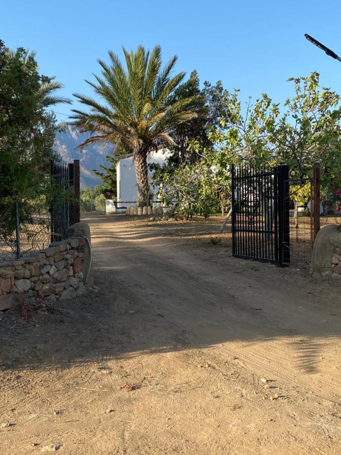 Villa Bianca Tertenia Luaran gambar